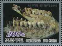 Fossils