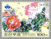 Peonies