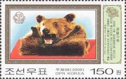 Bearskin with head