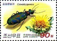 Japanese tiger beetle (Cicindela japonica) - Dandelion