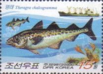 Alaska pollock (Theragra chalcogramma)