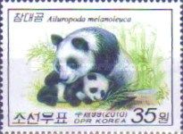 Giant Panda (Ailuropoda melanoleuca)