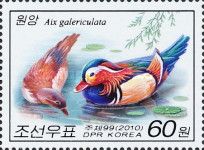 Mandarin Duck (Aix galericulata)