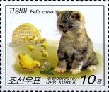 Kitten with chickens