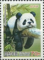 Giant Panda (Ailuropoda melanoleuca)