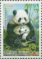 Giant Panda (Ailuropoda melanoleuca)