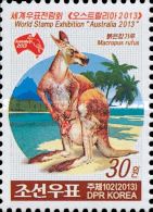 Red Kangaroo (Macropus rufus)
