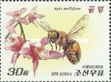 Honeybee (Apis mellifera), orchids