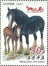 Shire Horse