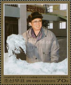 Kim Jong Il with plant fibers