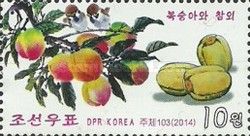 Vegetables & Fruits