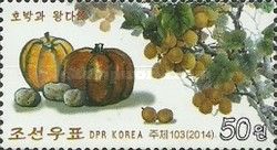 Vegetables & Fruits