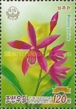 Bletilla striata