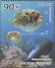 Diodon holocanthus & Atrina pectinata