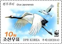 Red-crowned Crane (Grus japonensis)