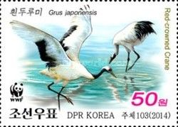 Red-crowned Crane (Grus japonensis)