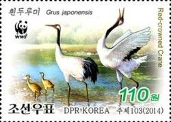 Red-crowned Crane (Grus japonensis)