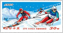 Skier