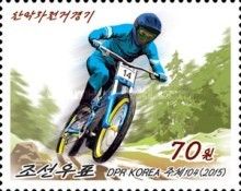Mountainbike Downhill