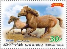 Horse (Equus Caballus)