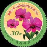 50 years Kimilsungia Orchid