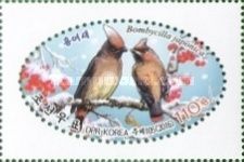 Japanese Waxwing Bombycilla japonica