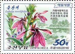 Lobelia sessilifolia