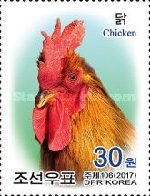 Year of The Rooster 2017