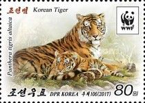 Korean Tiger (Panthera tigris altaica)