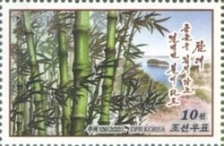 Bamboo (Bambusoideae)
