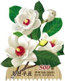 Magnolia