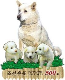 Phungsan Dog