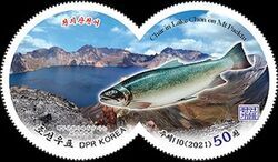 Char from Lake Chon, Mount Paekchu
