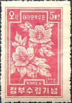 Hibiscus