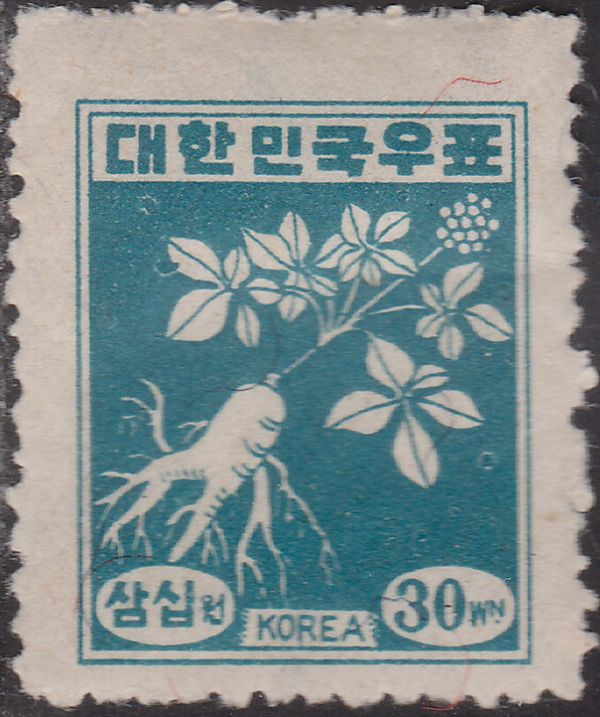 Ginseng Plant
