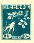 Ginseng Plant - surcharged