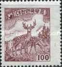 Sika Deer (Cervus nippon)