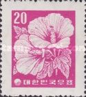 Hibiscus