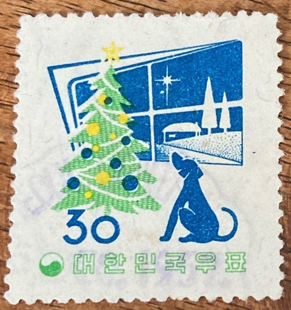 Christmas tree, window and dog