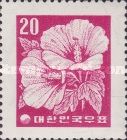 Hibiscus