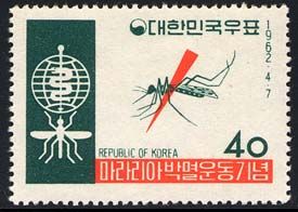 Anopheles Mosquito (Anopheles sp.) 