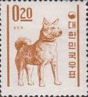 Jindo Dog (Canis lupus familiaris)
