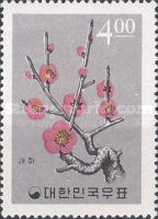Plum Blossoms (Prunus mume)