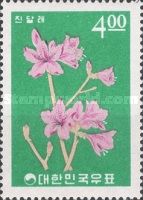 Rhododendeum mucronulatum