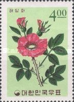 Sweetbrier (Rosa rugosa)