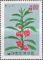 Garden balsam (Impatiens balsamina)