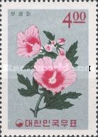 Hibiscus
