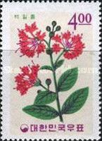 Crape myrtle (Lagerstroemia indica)
