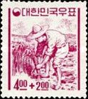 Rice farmer