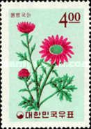 Chrysanthemum lucidum